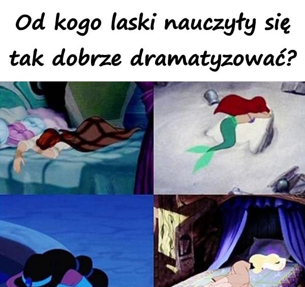 Od kogo laski nauczyły się tak dobrze dramatyzować