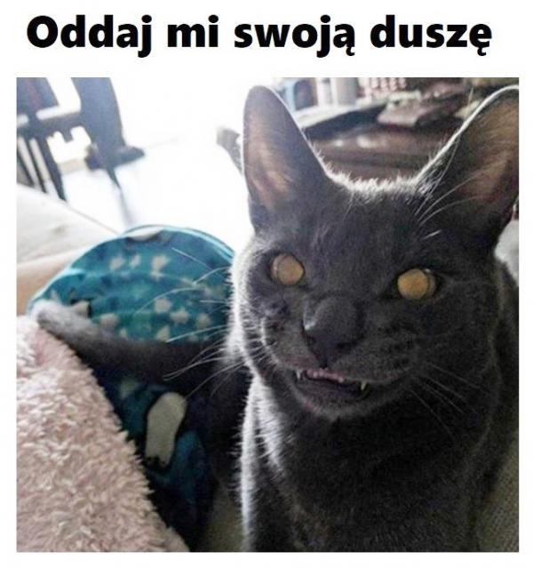 Oddaj mi swoją duszę