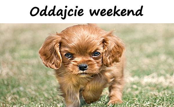 Oddajcie weekend