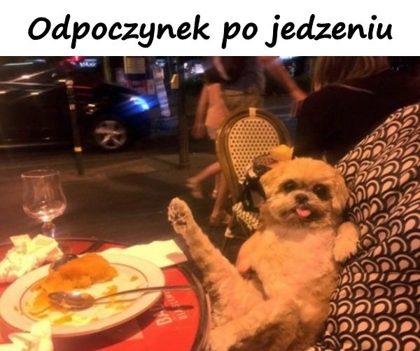 Odpoczynek po jedzeniu