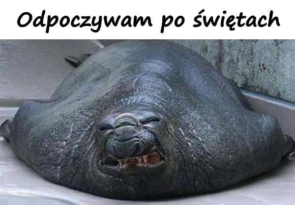 Odpoczywam po świętach