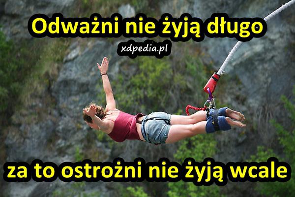 Odważni nie żyją długo, za to ostrożni nie żyją wcale