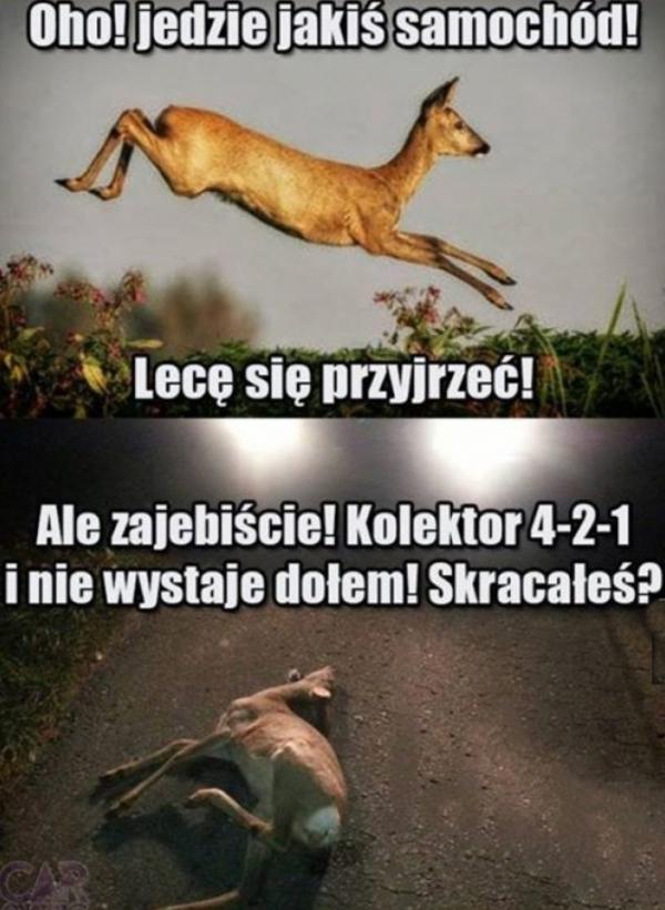 Oh jedzie jakiś samochód, lecę się przyjrzeć