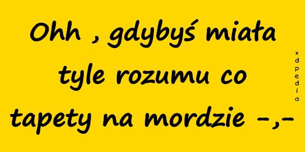 Ohh , gdybyś miała tyle rozumu co tapety na mordzie