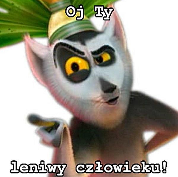 Oj Ty leniwy człowieku