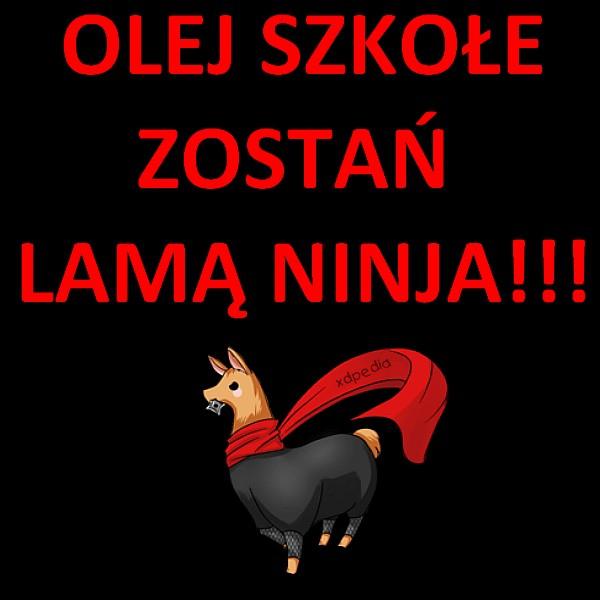 Olej szkołę, zostań lamą ninja