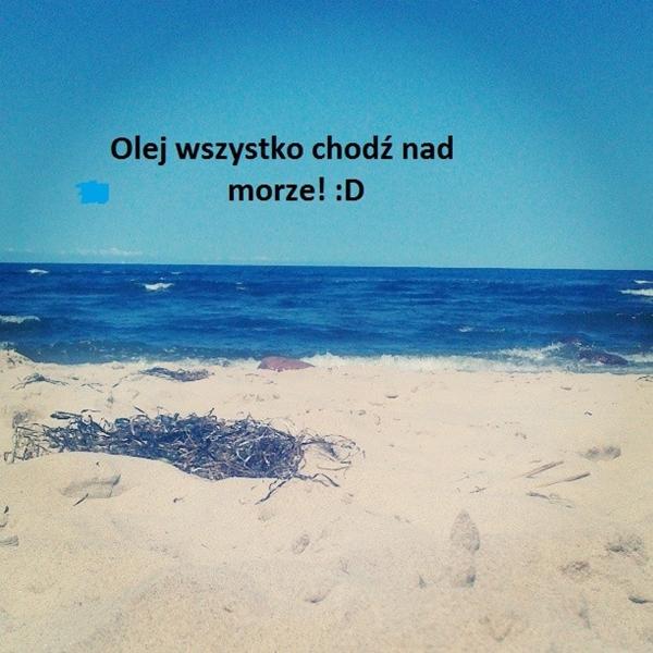 Olej wszystko, chodź nad morze