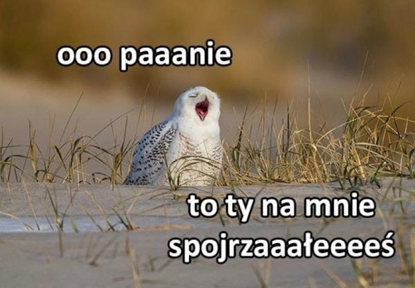 Ooo paaanie to ty na mnie spojrzaaałeeeeś