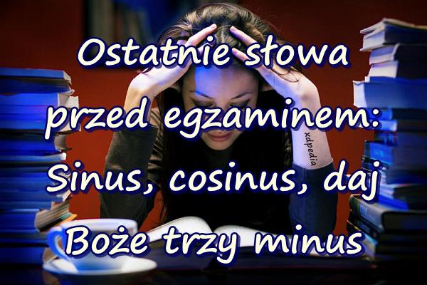 Ostatnie słowa przed egzaminem: Sinus, cosinus, daj Boże