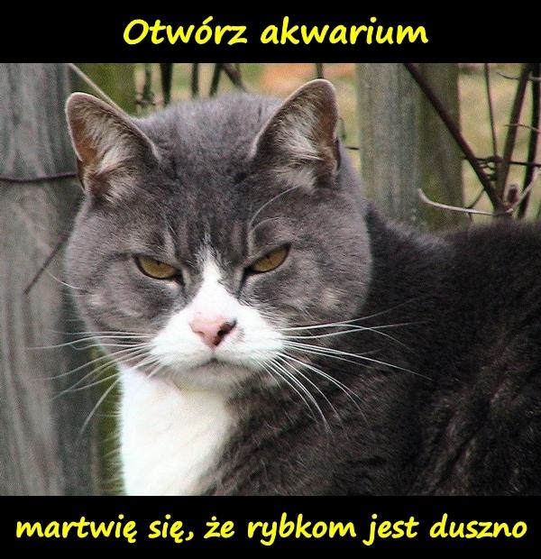 Otwórz akwarium, martwię się, że rybkom jest duszno