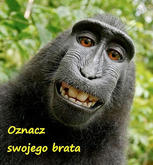 Oznacz swojego brata