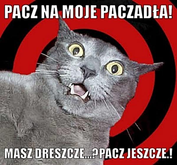 Pacz na moje paczadała! Masz dreszcze? Pacz jeszcze