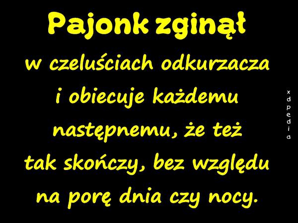 Pajonk zginął w czeluściach odkurzacza i obiecuje każdemu