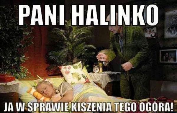 Pani Halinko\nja w sprawie kiszenia tego ogórka