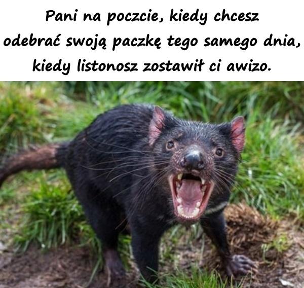 Pani na poczcie, kiedy chcesz odebrać swoją paczkę tego