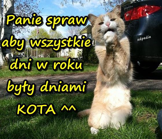 Panie spraw aby wszystkie dni w roku były dniami KOTA