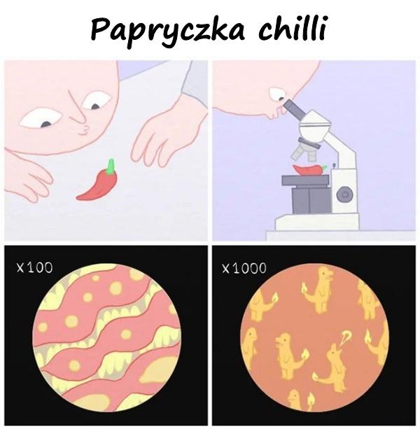 Papryczka chilli