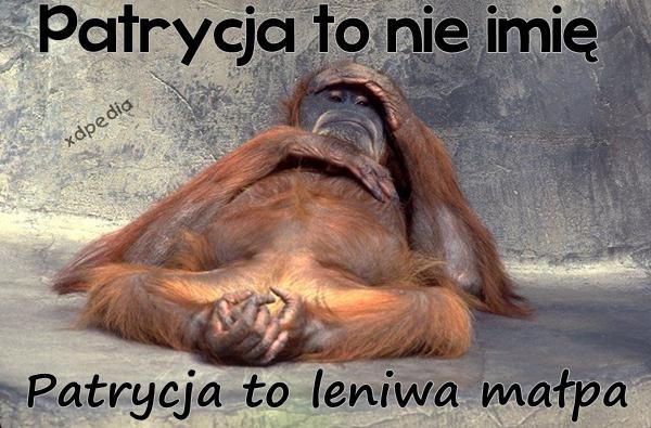 Patrycja to nie imię, Patrycja to leniwa małpa