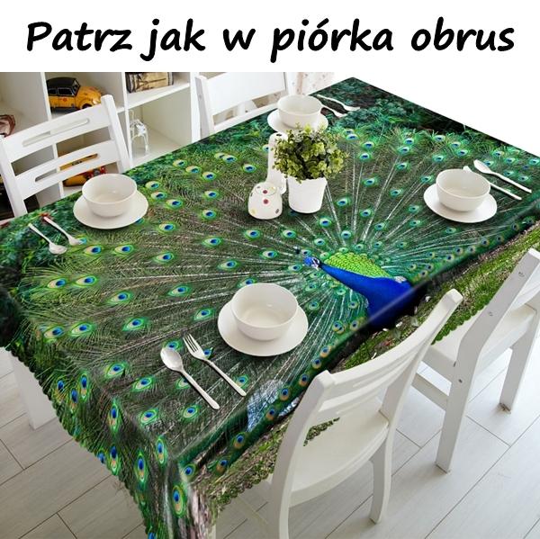 Patrz jak w piórka obrus