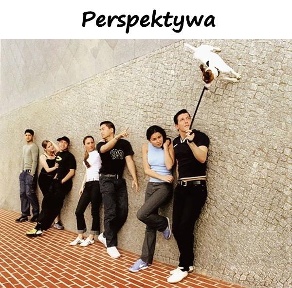 Perspektywa