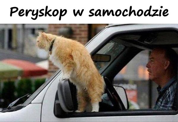 Peryskop w samochodzie