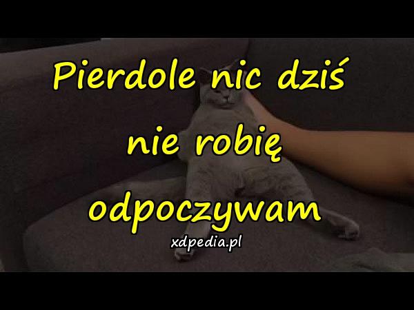 Pierdole nic dziś \nnie robię odpoczywam