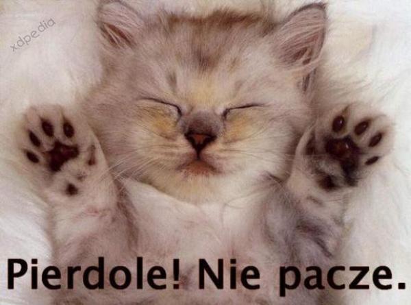 Pierdole! Nie pacze