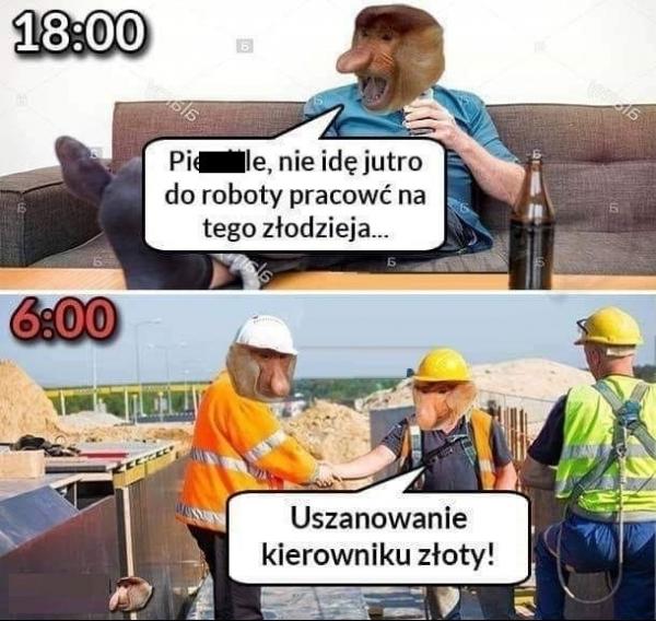 Pierdolę, nie idę jutro do roboty, pracować na tego