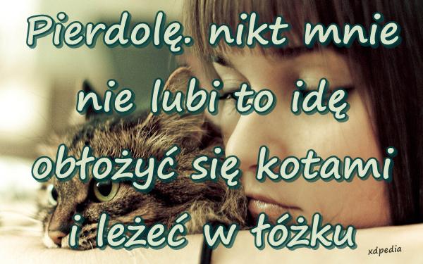 Pierrdolę. nikt mnie nie lubi to idę obłożyć się kotami i