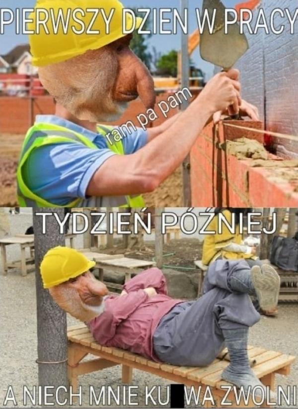 Pierwszy dzień w pracy i tydzień później