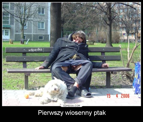 Pierwszy wiosenny ptak