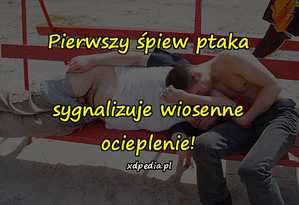 Pierwszy śpiew ptaka sygnalizuje wiosenne ocieplenie