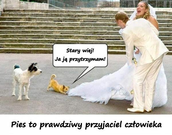 Pies to prawdziwy przyjaciel człowieka