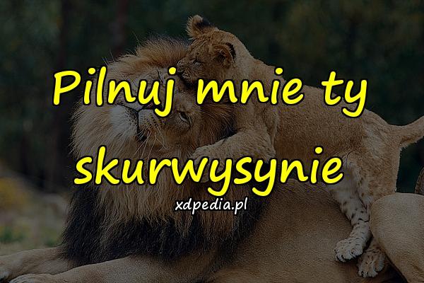 Pilnuj mnie ty skurwysynie