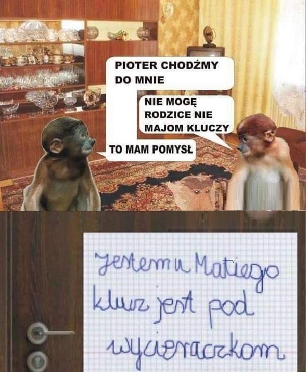 - Pioter, chodżmy do mnie - Nie mogę rodzice nie majom