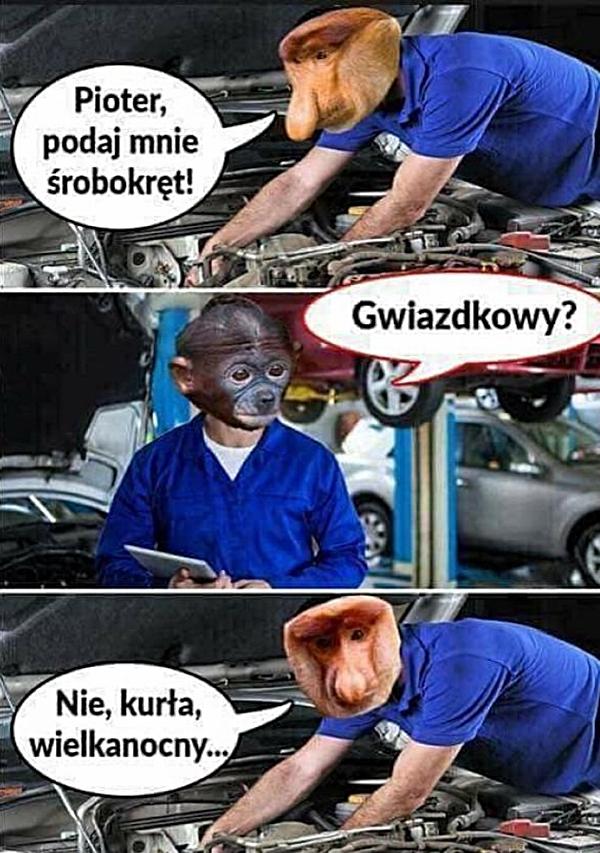 - Pioter, podaj mnie śrubokręt - Gwiazdkowy? - Nie, kurła