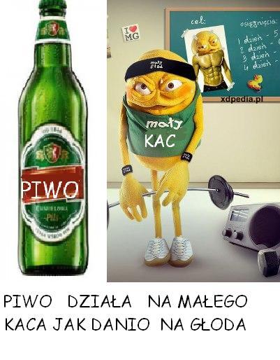 Piwo działa na małego kaca jak danio na głoda