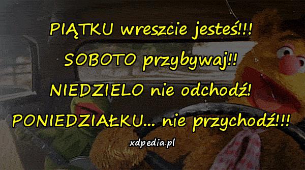 PIĄTKU wreszcie jesteś!!! SOBOTO przybywaj!! NIEDZIELO nie