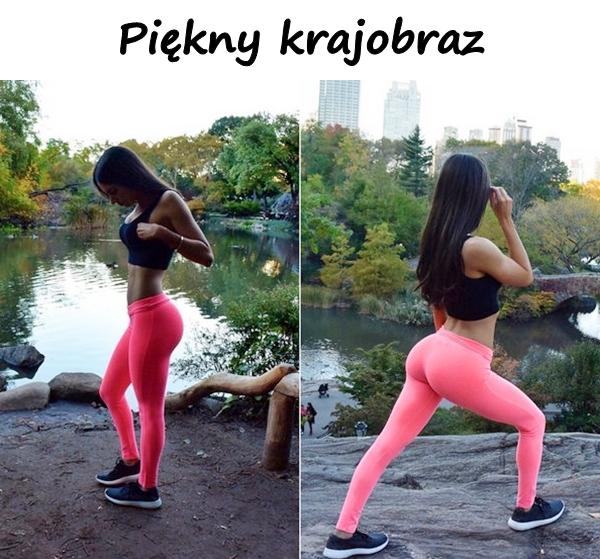 Piękny krajobraz