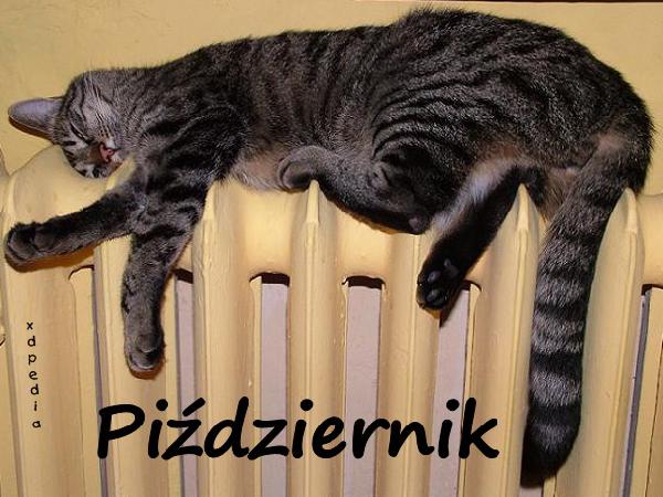 Piździernik