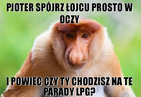 Pjoter spójrz łojcu prosto w oczy i powiec czy ty chodzisz