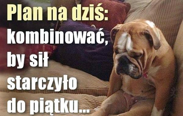 Plan na dziś, kombinować by sił starczyło do piątku