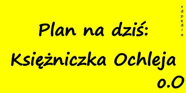 Plan na dziś: Księżniczka Ochleja