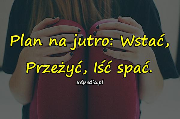 Plan na jutro: Wstać, Przeżyć, Iść spać