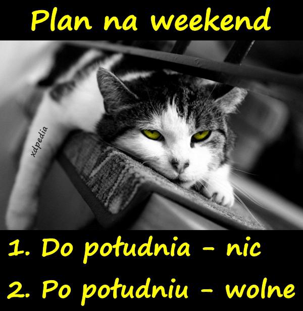 Plan na weekend 1. Do południa - nic 2. Po południu - wolne