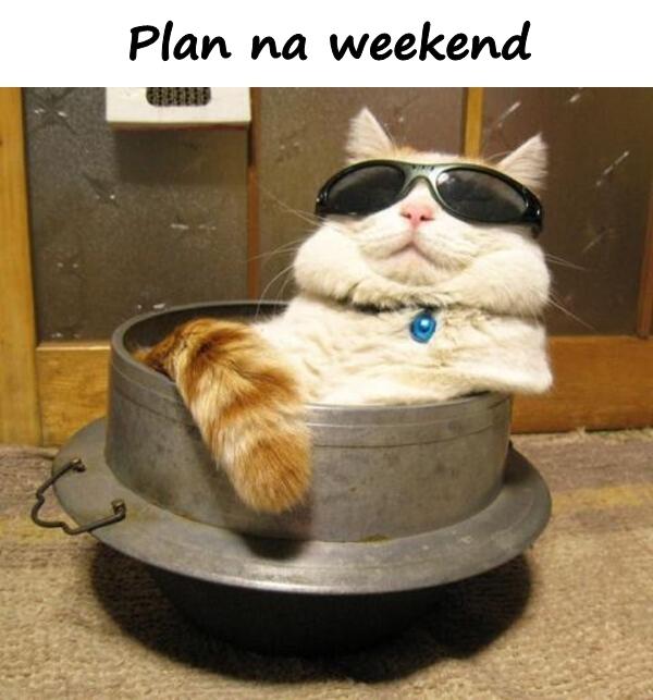 Plan na weekend