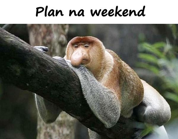 Plan na weekend