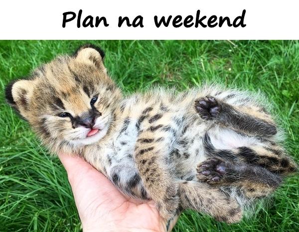 Plan na weekend