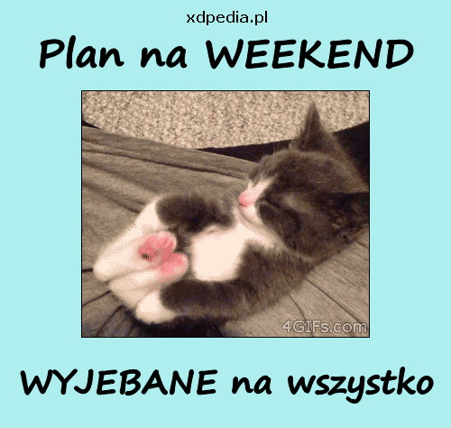 Plan na WEEKEND - WYJEBANE na wszystko
