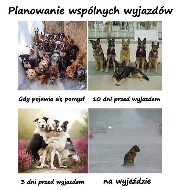 Planowanie wspólnych wyjazdów